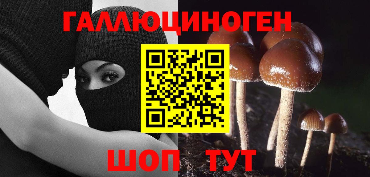 Великие Луки  где можно купить наркотик  Вход с VPN  Псилоцибиновые грибы Cubensis 