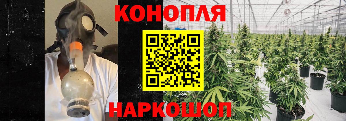 Каннабис гибрид Великие Луки